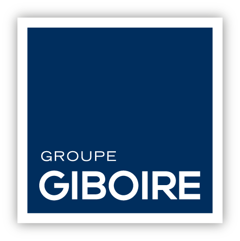 BD - version ombree - LOGO GIBOIRE GROUPE - RVB